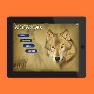 Wild Wolves Exhibit App Project