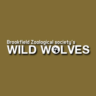 Wild Wolves Exhibit App Project